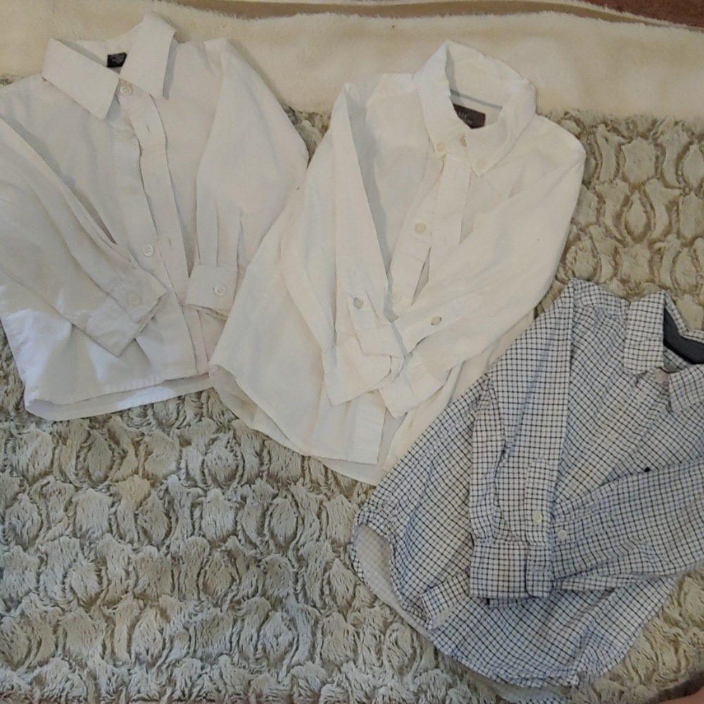 3 Shirt Lot
